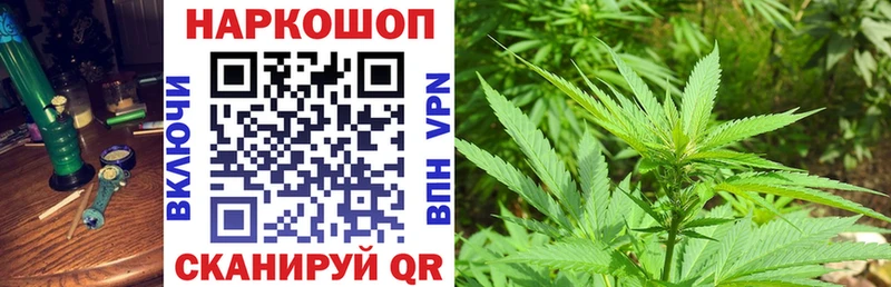 Купить наркотик аптеки Вятские Поляны КОКАИН  Псилоцибиновые грибы  Альфа ПВП  Гашиш  Амфетамин  Меф  Марихуана 