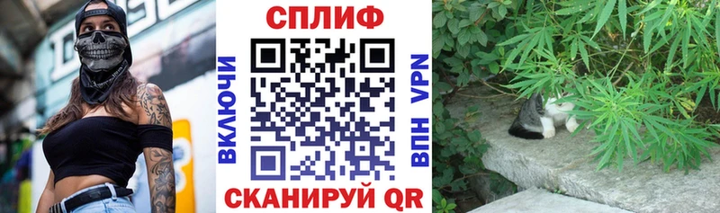 где можно купить   Вятские Поляны  omg ссылки  Марихуана гибрид 